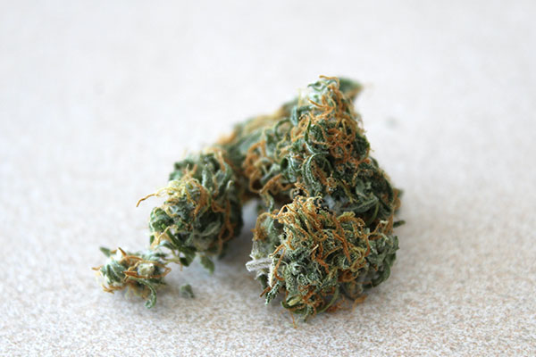 cena marihuany medycznej w polsce 2026