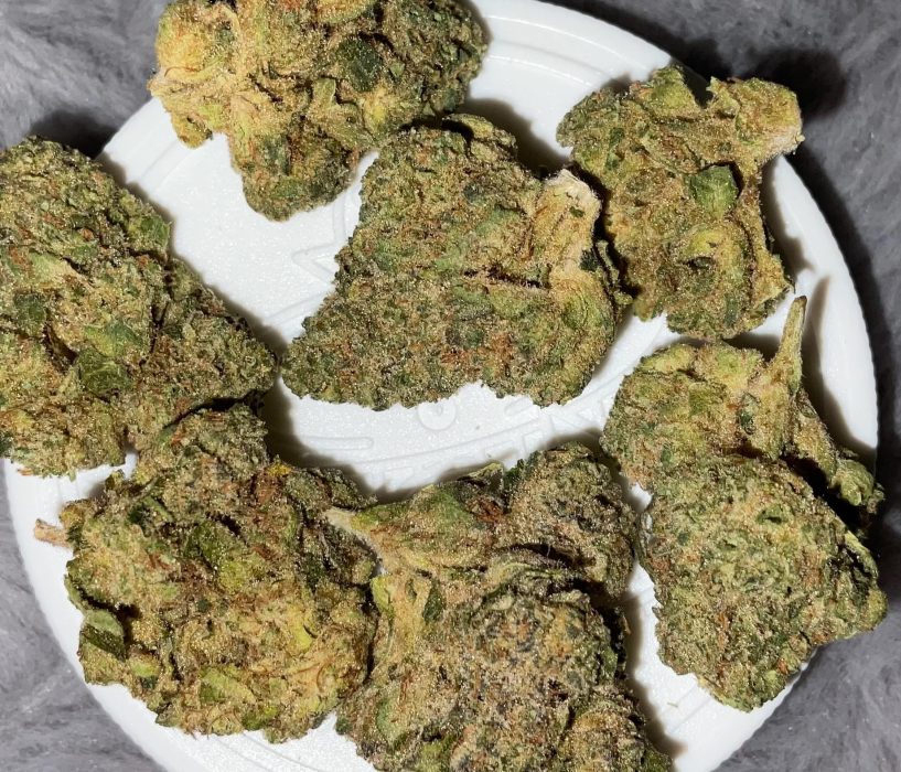 Cannabis Flos Aurora Sourdough 29 THC / CBD