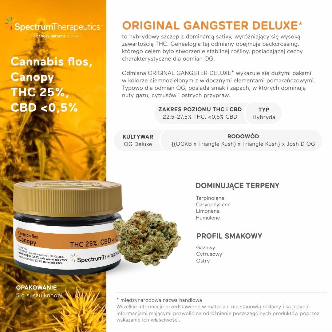 original gangster deluxe