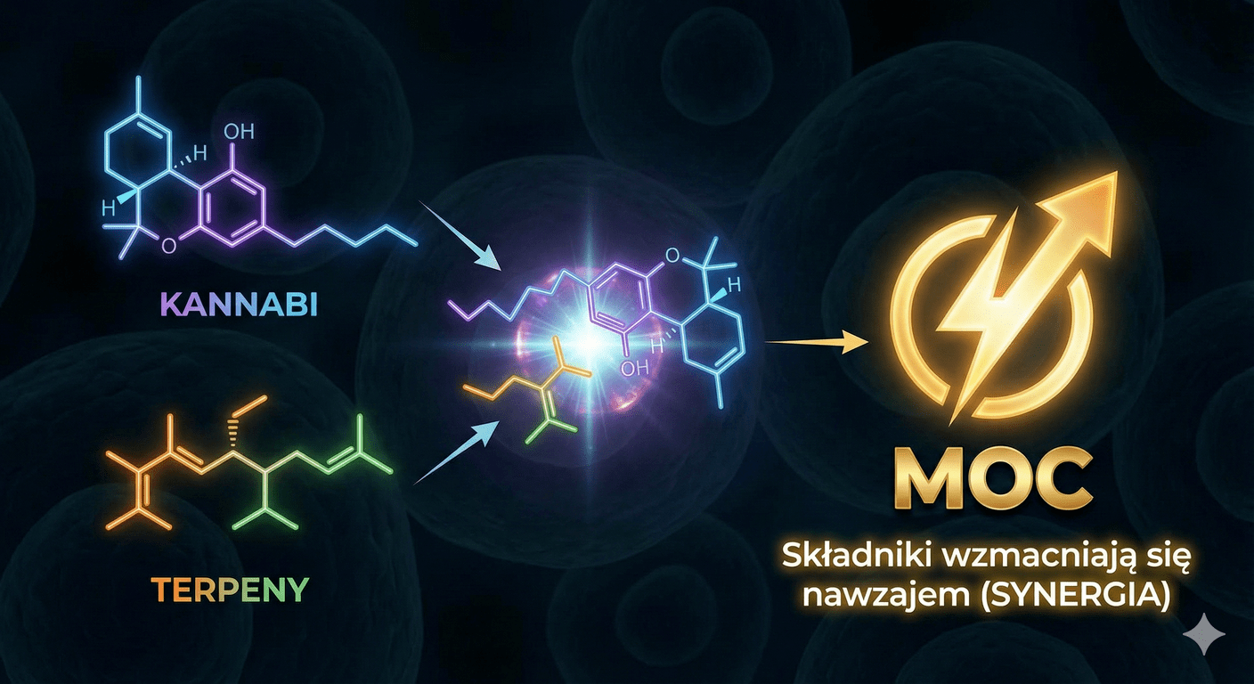 efekt entourage i sekret mocy konopi siewnych
