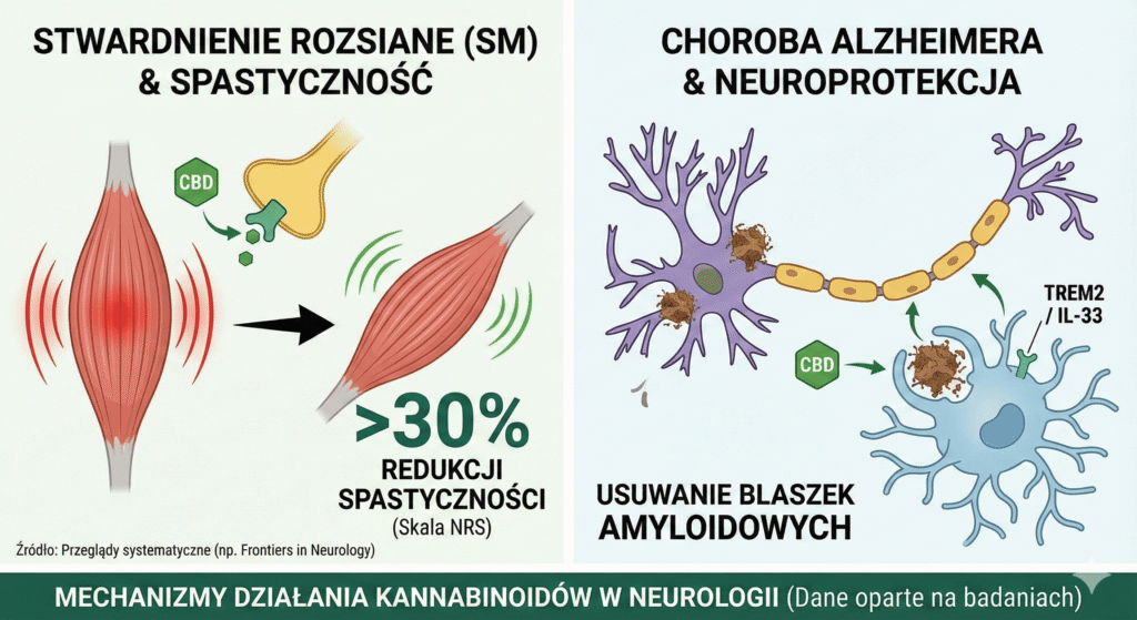 stwardnienie rozsiane CBD min
