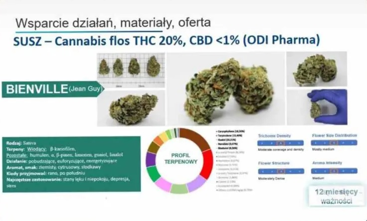 bienville odi pharma