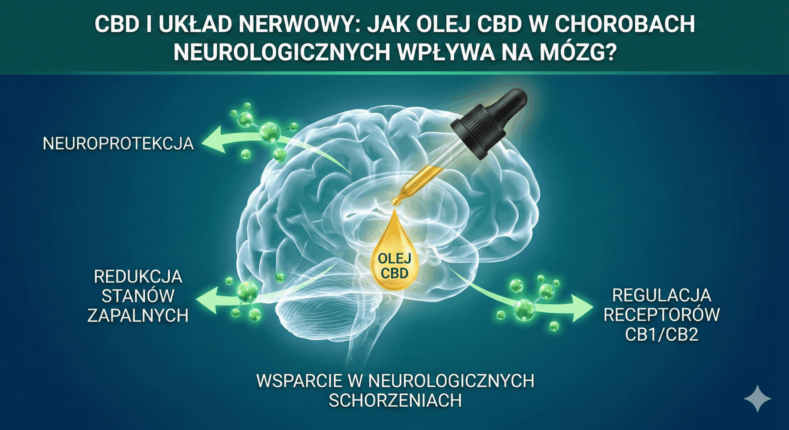 cbd ukłąd nerwowy