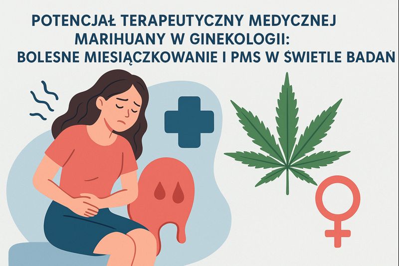 ChatGPT Image 15 gru 2025 16 56 09 1