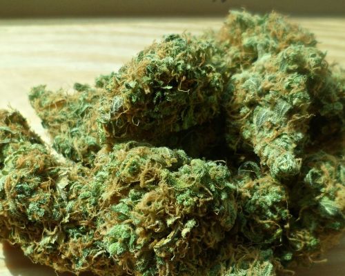 s-lab black tuna cannatherapy