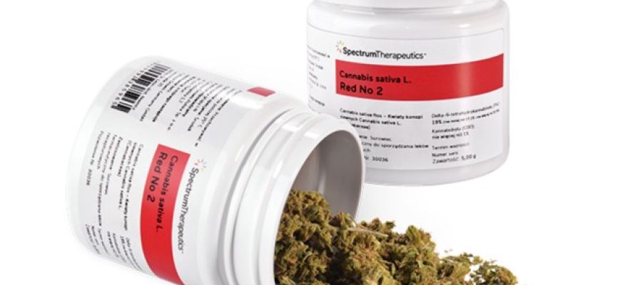 Spectrum 19% – Cannabis Sativa L. (Red No 2, Lemon Skunk)