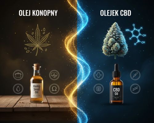olej konopny a olejek cbd 3 1d8bafdd