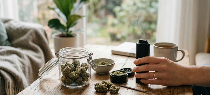 Susz medyczny do waporyzacji – najpopularniejsza forma terapii w Polsce 2026