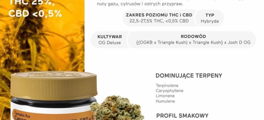 Original Gangster deluxe 25% THC – nowa hybryda