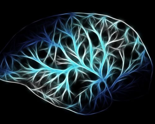 medyczna marihuana epilepsja