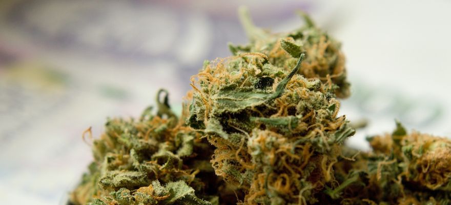 S-lab Jean Guy THC 18% CBD &le; 1%