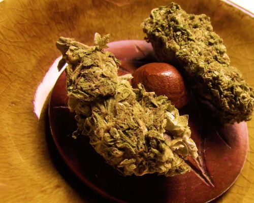 s-lab girl scout cookies