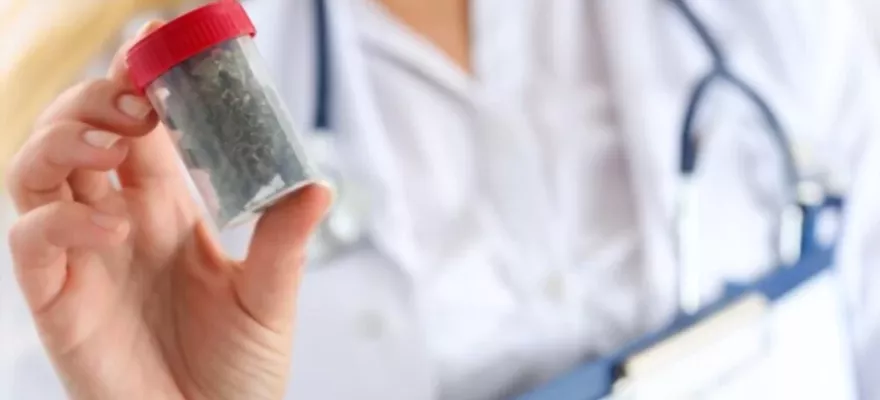 Medyczna marihuana recepta, jak dostać receptę na marihuanę?