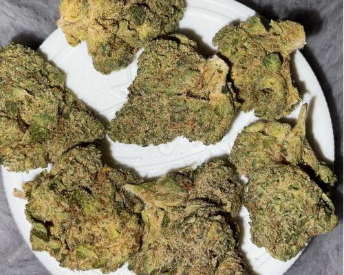 Cannabis Flos Aurora Sourdough 29 THC / CBD