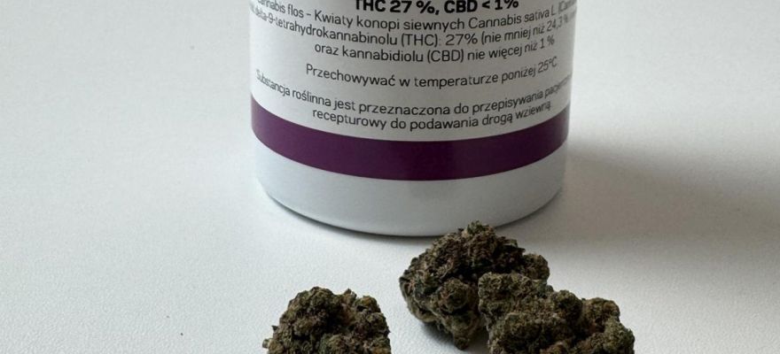 Medyczna Marihuana Aurora Pedanios 27/1 &bdquo;Farm Gas&rdquo; 27% THC