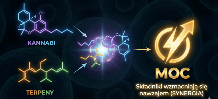 Dlaczego 1+1=3? Efekt Entourage i sekret mocy konopi siewnych
