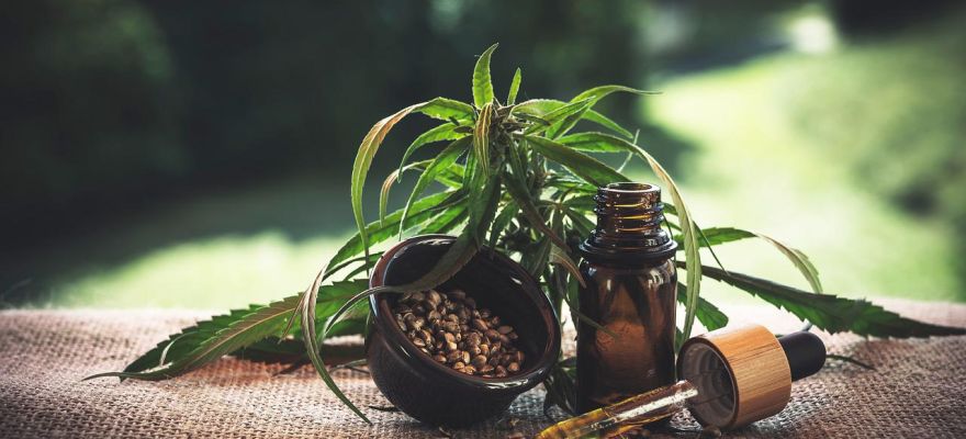 Marihuana medyczna Warszawa