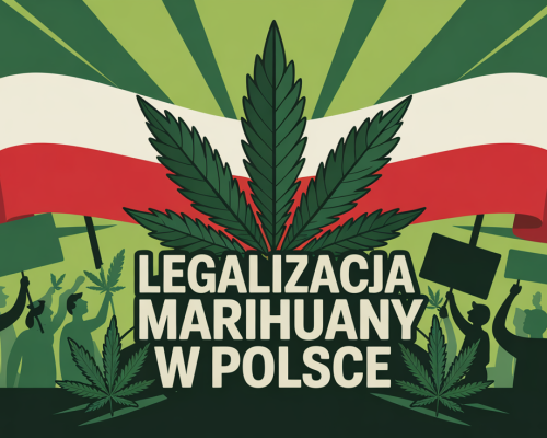 legalizacja marihuany w Polsce 791409f1