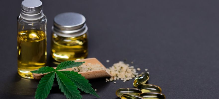 Medyczna marihuana – gdzie kupić? 1 Medyczna marihuana – gdzie kupić?