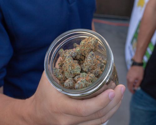 recepta na medyczną marihuanę