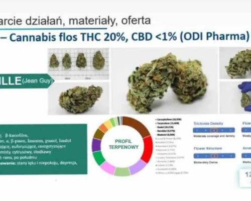 bienville odi pharma