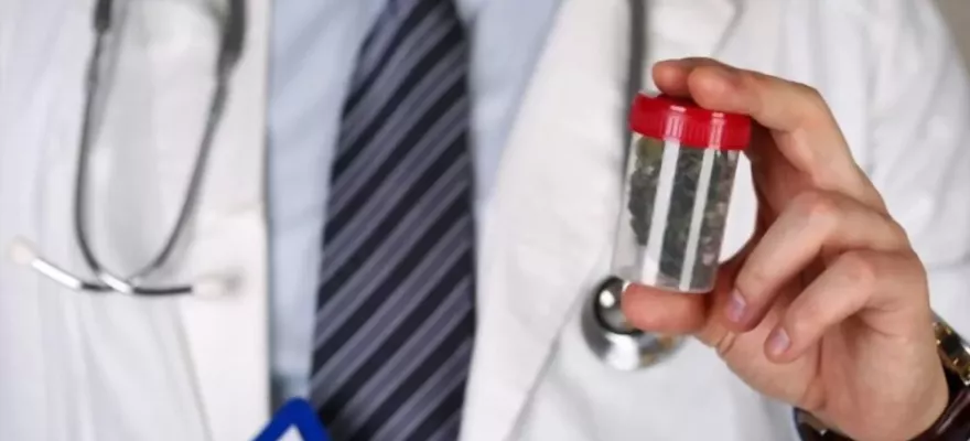 Lecznicza marihuana w Polsce – co warto wiedzieć?