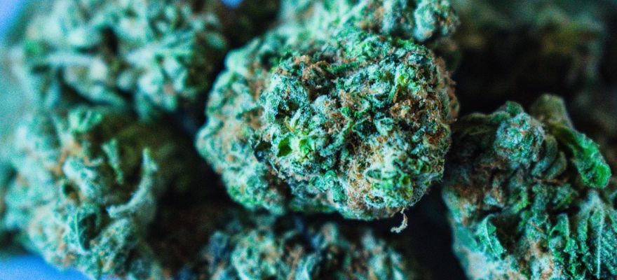 S-lab Headband THC 18% CBD ≤ 1%