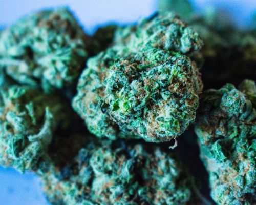 s-lab headband cannatherapy