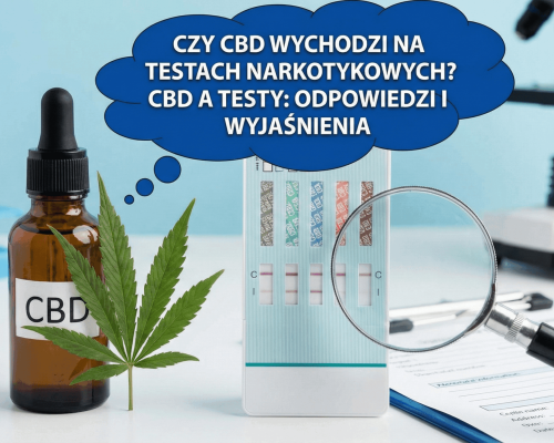 czy po cbd mozna pracowadzic samochod