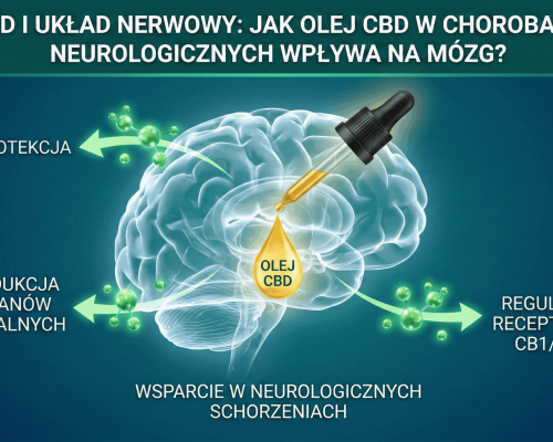 cbd ukłąd nerwowy