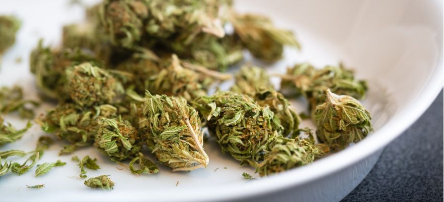 Jack Herer S-lab 18% THC, 1% CBD