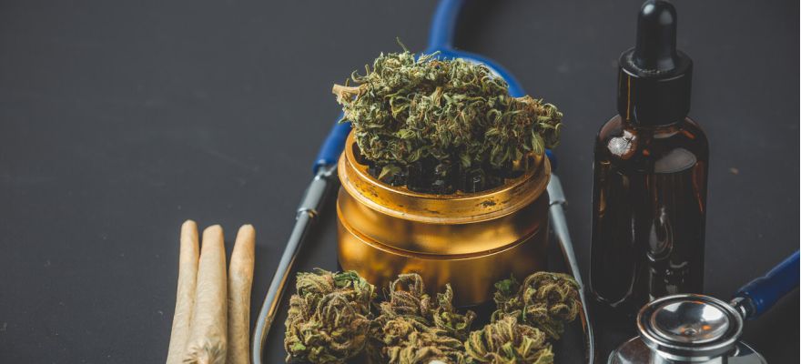 Sativa czy Indica – co wybrać?