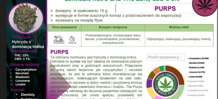 Purps S-lab 22% THC indica