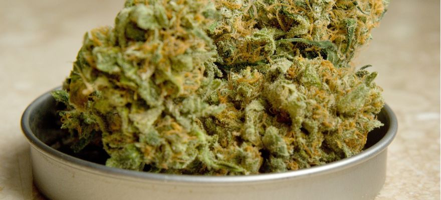 Sour Diesel S-lab 18% THC