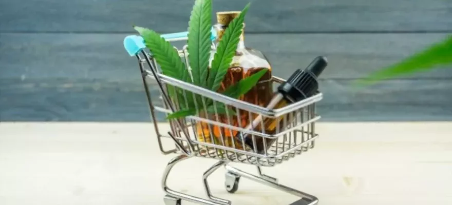 Jak zdobyć medyczną marihuanę w Polsce?