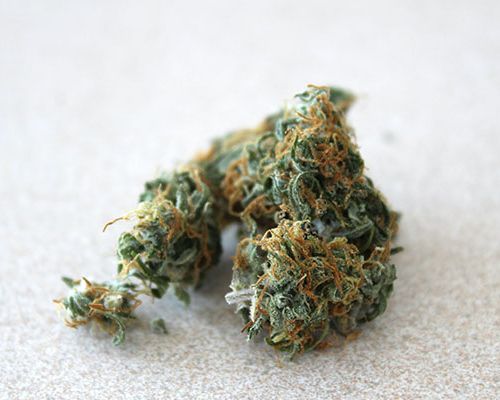 cena marihuany medycznej w polsce 2026