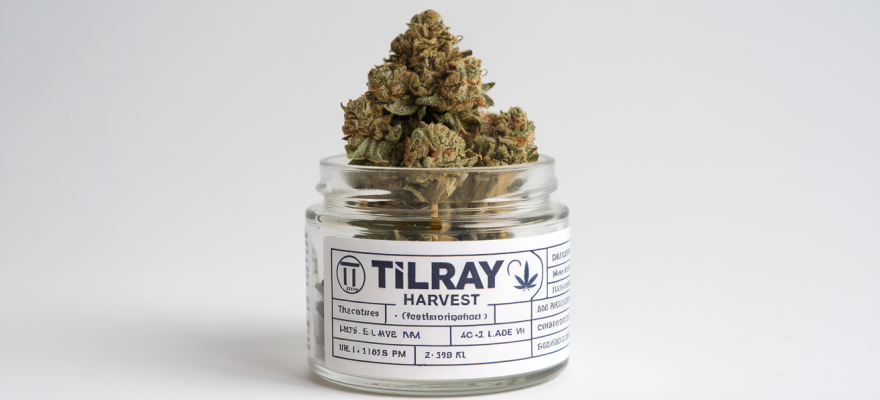 Dużo niższe ceny za susz medyczny Tilray 1 Dużo niższe ceny za susz medyczny Tilray